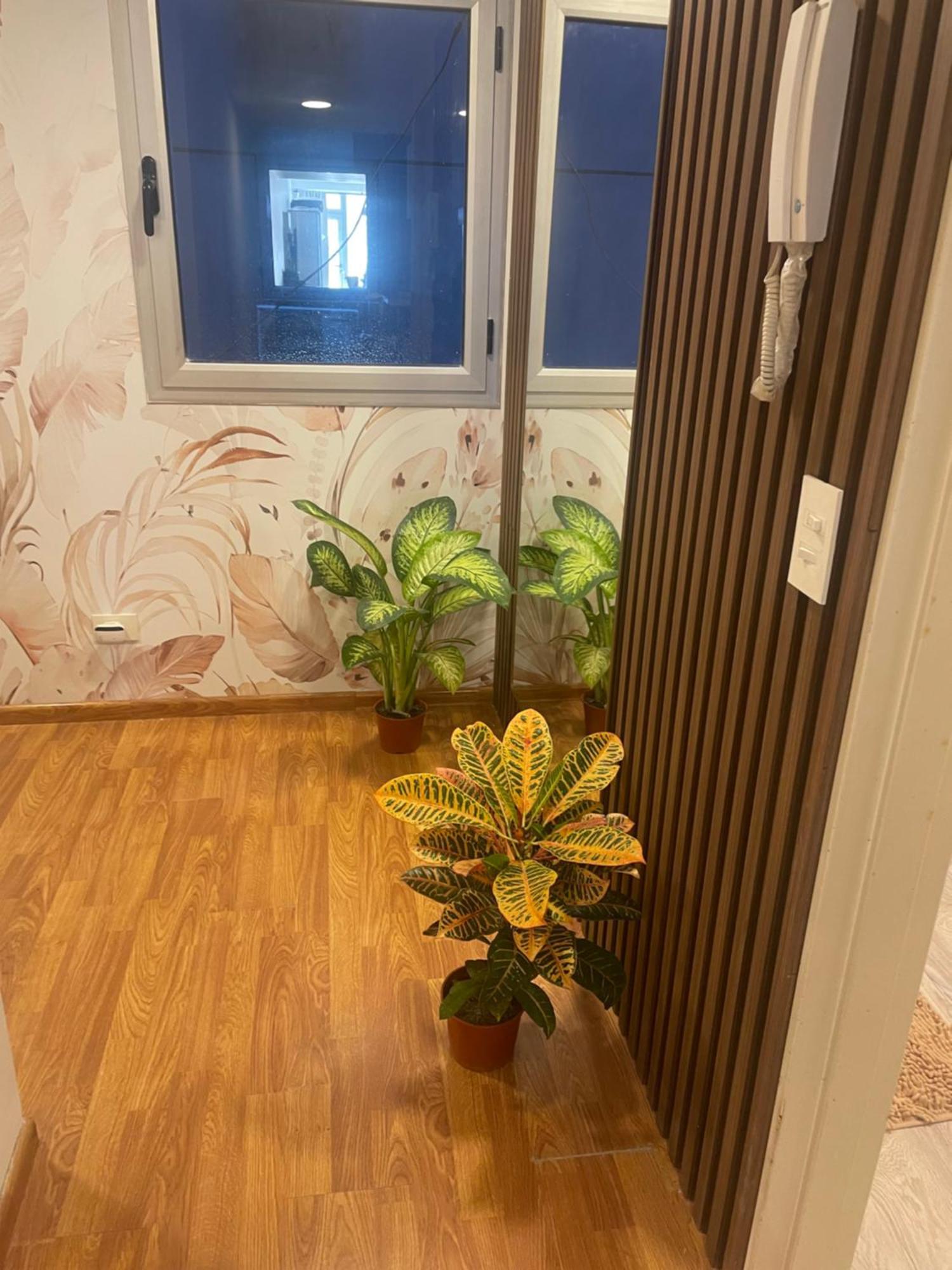 Manoloiii Apartment *